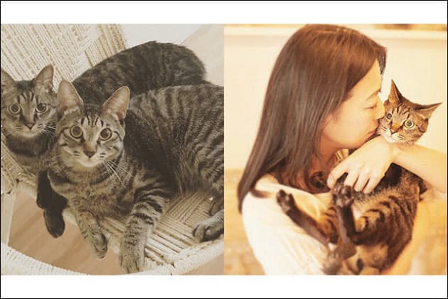 猫好き高じてブランド立ち上げも 保護猫と過ごす毎日 Woman Smart Nikkei Style