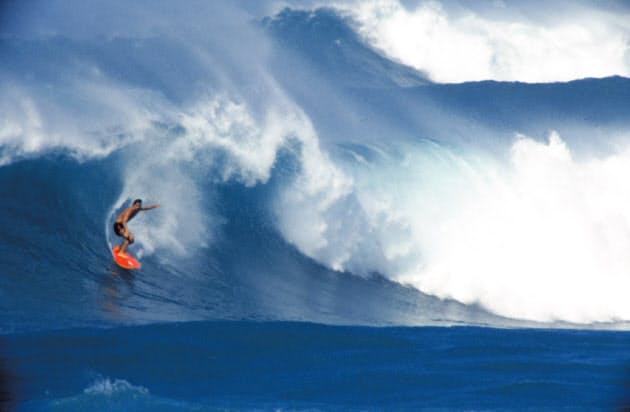 暑い夏は 青の映像美 で涼もう 海の名作映画10選 ランキング Nikkei Style