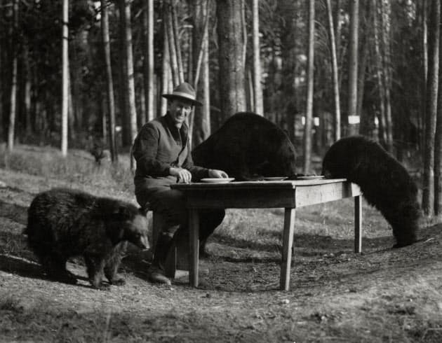 不幸な事故がなくならない理由 クマと人間の不幸な 接触 事故なぜなくならない Nikkei Style 不幸な事故がなくならない理由 クマと人間の不幸な 接触 事故なぜなくならない Nikkei Style