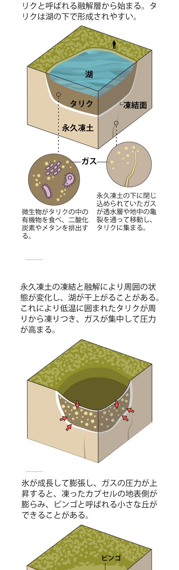 図解 氷の爆発 シベリアにまた謎のクレーターが出現 過去最大級 Nikkei Style 図解 氷の爆発 シベリアにまた謎のクレーターが出現 過去最大級 Nikkei Style
