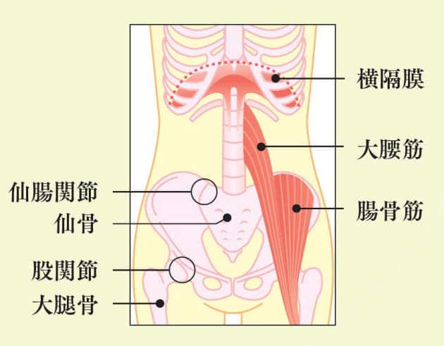 骨盤のゆがみ整えおなかすっきり 1日1分おしり整体 Nikkei Style 骨盤のゆがみ整えおなかすっきり 1日1分おしり整体 Nikkei Style