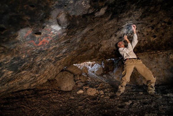 洞窟の天井の割れ目に詰め込まれた植物の塊を記録する研究員のジョン・ピッチョーロ氏。写真の左に見えるのは、風車の形をした壁画だ。この壁画にちなんで、洞窟は「風車洞窟」と呼ばれている(PHOTOGRAPH BY DEVLIN GANDY) 洞窟の天井の割れ目に詰め込まれた植物の塊を記録する研究員のジョン・ピッチョーロ氏。写真の左に見えるのは、風車の形をした壁画だ。この壁画にちなんで、洞窟は「風車洞窟」と呼ばれている(PHOTOGRAPH BY DEVLIN GANDY)