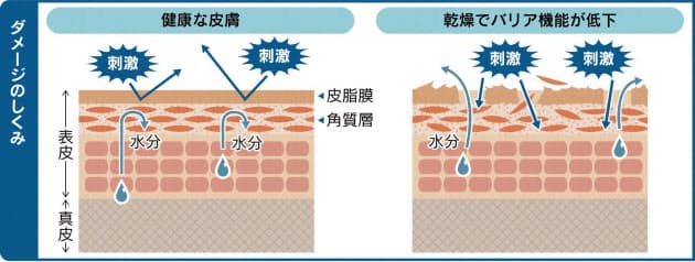 冬の皮膚トラブル 保湿のコツは コロナ対策も原因 nikkei style