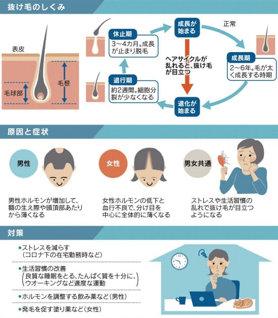 髪が細くなった 地肌が透ける の悩みに コロナ下の 男女別 薄毛対策 Nikkei Style Goo ニュース 髪が細くなった 地肌が透ける の悩みに コロナ下の 男女別 薄毛対策 Nikkei Style Goo ニュース