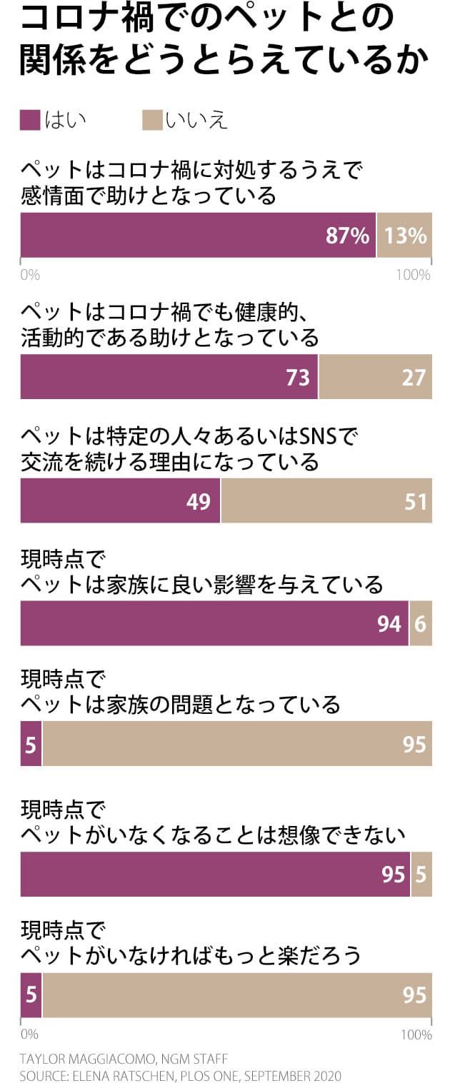 ペットは コロナ禍の癒やし 支えの一方で心配事も Nikkei Style ペットは コロナ禍の癒やし 支えの一方で心配事も Nikkei Style