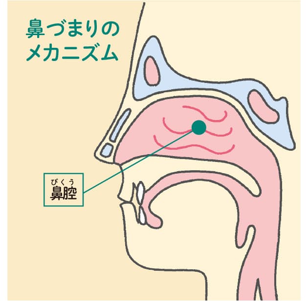 睡眠の質は 鼻 から もしかしたら 隠れ鼻づまり Nikkei Style 睡眠の質は 鼻 から もしかしたら 隠れ鼻づまり Nikkei Style