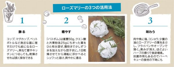 栽培しやすいハーブ ローズマリーで生活ランクアップ 飾りに料理に使い方も様々 Nikkei Style Goo ニュース 栽培しやすいハーブ ローズマリーで生活ランクアップ 飾りに料理に使い方も様々 Nikkei Style Goo ニュース