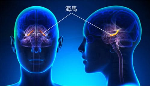 地頭 は伸ばせる 大人になっても脳を成長させる方法 Nikkei Style Goo ニュース