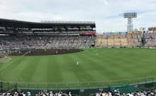 酵母由来の肥料を散布し、芝の根付きがよくなった甲子園球場(兵庫県西宮市)