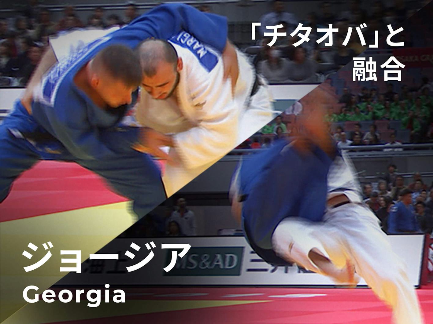 データ戦略で極める一本 メダルへの道 柔道 日本経済新聞 データ戦略で極める一本 メダルへの道 柔道 日本経済新聞
