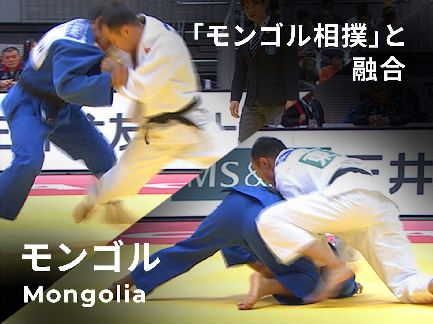 データ戦略で極める一本 メダルへの道 柔道 日本経済新聞 データ戦略で極める一本 メダルへの道 柔道 日本経済新聞